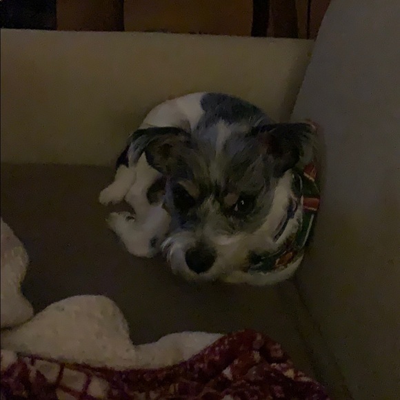 Profile Picture of Beth Olcott (@bkolcott) on Poshmark