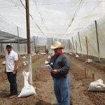 Profile Picture of Godofredo Ayala (@godofredoayala) on Instagram