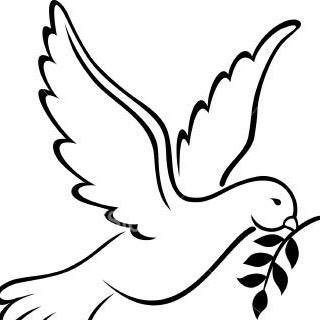 Profile Picture of Ray Vazz (@ReneVaz08720185) on Twitter