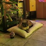 Profile Picture of Kevin Wilken (@kevin.wilken.58) on Instagram