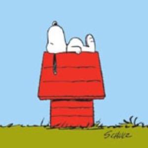 Profile Picture of Andrew Fechner (@AndrewFechner) on Twitter