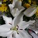 Profile Picture of Annette Dietrich (@annette.dietrich.50) on Facebook