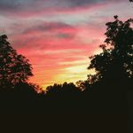 Profile Picture of Chris Fiske (@fiskey85) on Instagram