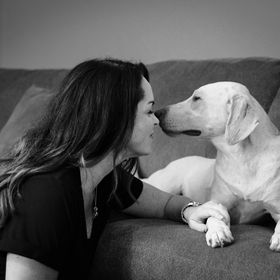 Profile Picture of Jimmi Mayo (@jpmayo) on Pinterest