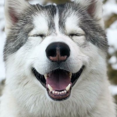 Profile Picture of Jim Smitley (@JimSmitty614) on Twitter