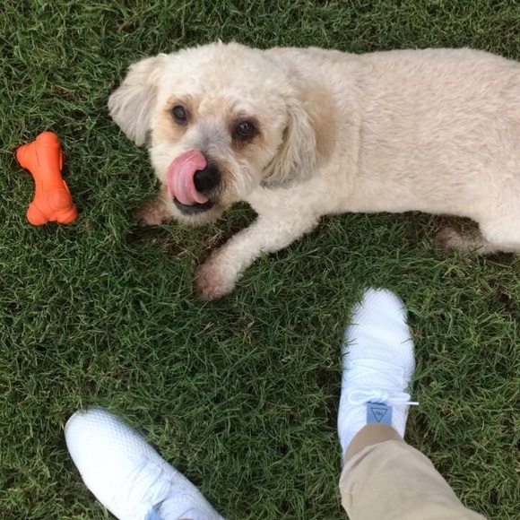 Profile Picture of Lucas Mendes (@lucasmmendess) on Poshmark