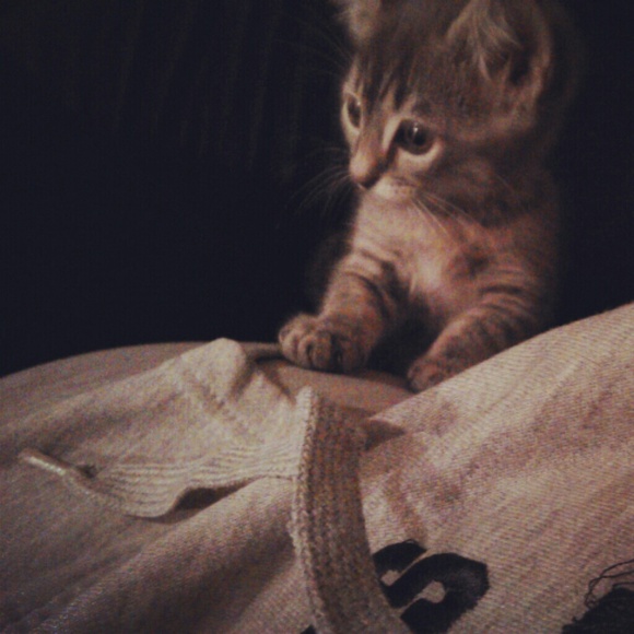 Profile Picture of Iraida Lopez (@iraida92) on Poshmark