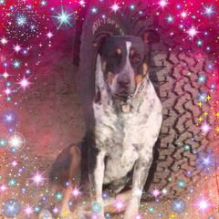 waynerockley - Tiktok Profile Picture of waynerockley (@waynerockley) on Tiktok