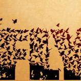 Profile Picture of Abish Thomas (@ThomasAbish) on Twitter