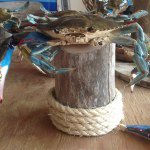 Profile Picture of John And Nathan Kopanski (@wye_river_crab_mounts) on Instagram