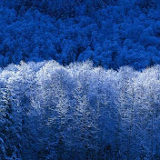 Profile Picture of Danny Jong (@MrGooddaniel123) on Youtube