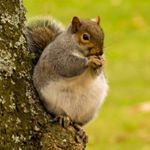 Profile Picture of Jason Valladares (@jasonv2.2) on Instagram