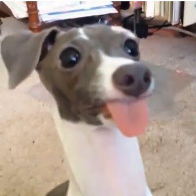 Profile Picture of Izaac Ramirez (@c37b3310eda444f) on Twitter