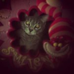 Profile Picture of Danielle Resnik (@ddanielleresnik) on Instagram