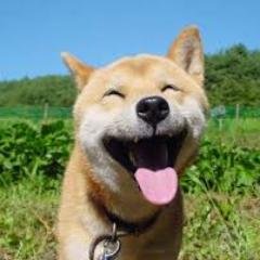 Profile Picture of Andy Zou (@AndyZou617) on Twitter