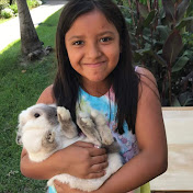 Stephanie's Camera Roll - Youtube Profile Picture of Stephanie's Camera Roll (@stephaniescameraroll1227) on Youtube