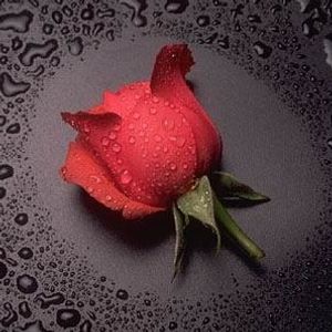 Profile Picture of Helen Ooi (@simplelady58) on Myspace