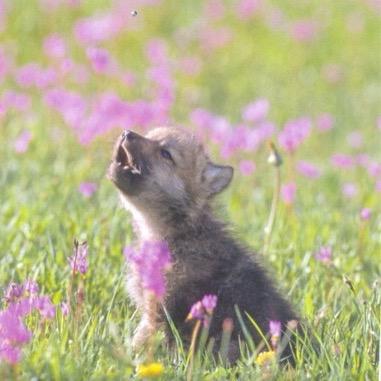 Profile Picture of Lilly (@patrick4837492) on Twitter