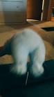 Profile Picture of   User (@elijah.pohl) TikTok... (@elijah.pohl) on Tiktok