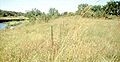 Profile Picture of Indian Village State Preserveon Wikipedia