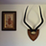 Profile Picture of Kerry Lambert (@kerry_fin) on Flickr