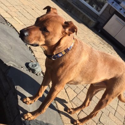 Profile Picture of Justin Niemiec (@doctor_eminem23) on Twitter