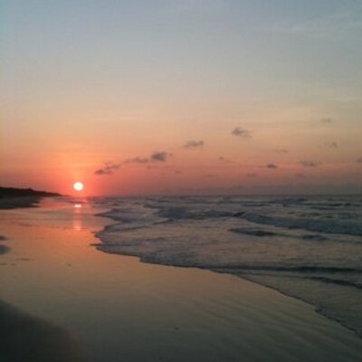 Profile Picture of Mark Gaston (@MarkCGaston) on Twitter