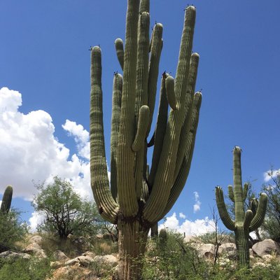 Profile Picture of Steve Axe (@steveaxe4) on Twitter