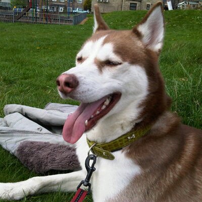 Profile Picture of Sean Lenihan (@seanlenihan2011) on Twitter