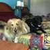 Profile Picture of Steve Strack (@steve.strack.503) on Facebook