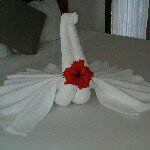 Profile Picture of bianca rosado (@bianquii_j) on Instagram