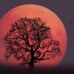 Profile Picture of James Roop (@james.roop.10441) on Facebook