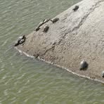 Profile Picture of Larissa Craig (@Larissa-Craig) on Facebook