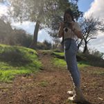 Profile Picture of rivka haimovitz (@rivka543) on Instagram