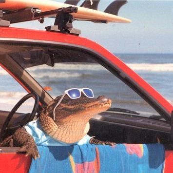 Profile Picture of Matthew MacKinnon (@MattLMacK) on Twitter