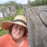 Profile Picture of Deborah Poole-Hofmann (@gilliescountrymouse) on Instagram