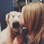 Profile Picture of Bree Watson (@bree_and_her_dogs) on Instagram