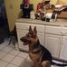 Profile Picture of James Tincher (@james.tincher.545) on Facebook