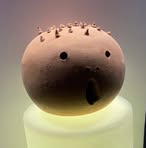 Profile Picture of Georgette Berthe (@Georgette-Berthe) on Facebook