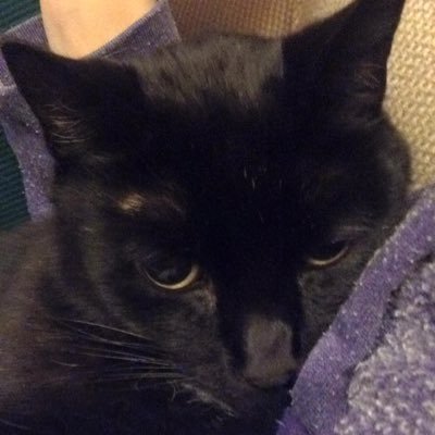 Profile Picture of Emily Clauson (@MLE_Clauson) on Twitter