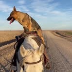 Profile Picture of Jacob Dove (@jacob.dove.587710) on Facebook