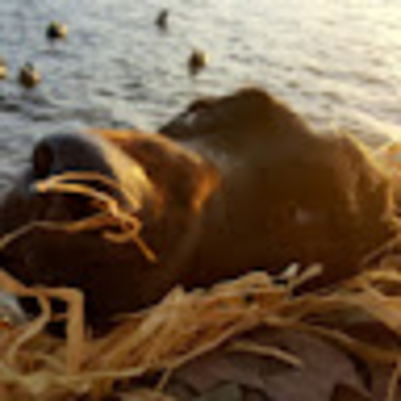 Marybeth Varvil - Poshmark Profile Picture of Marybeth Varvil (@marybethvarvil) on Poshmark