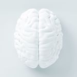 Profile Picture of Steve Needham (@slwncom) on Instagram