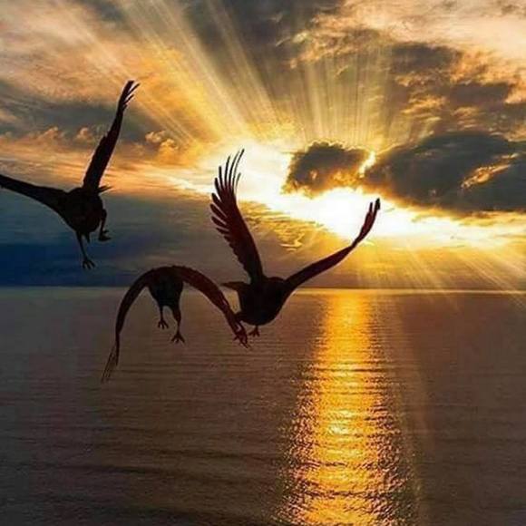 Profile Picture of Moawiah Aljawhary (@moawea_1990) on Poshmark