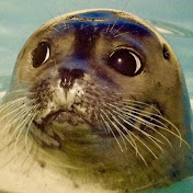 Profile Picture of Jeff Liao (@jeffliao3812) on Youtube