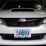 Profile Picture of PirOxide (@aaronwerley) on Instagram