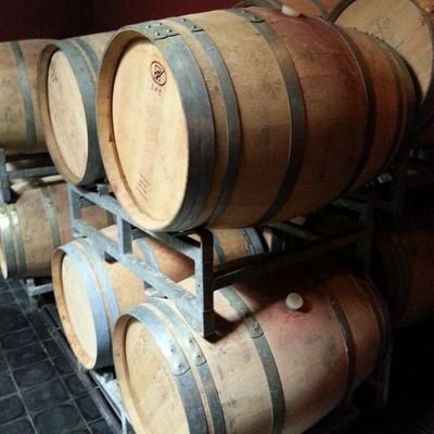 Profile Picture of R Winter-Repchuk (@wintersomm) on Twitter