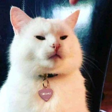 Profile Picture of Unknown J (@jamZeeve) on Twitter