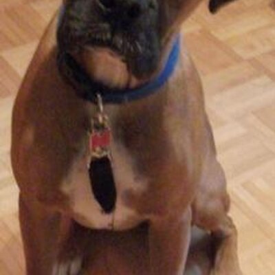 Profile Picture of Philip Simard (@simardphilip) on Twitter