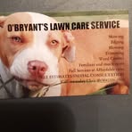 Profile Picture of Christopher Obryant (@Christopher-Obryant) on Facebook